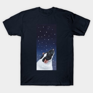 Black Capped Rat Stargazing T-Shirt